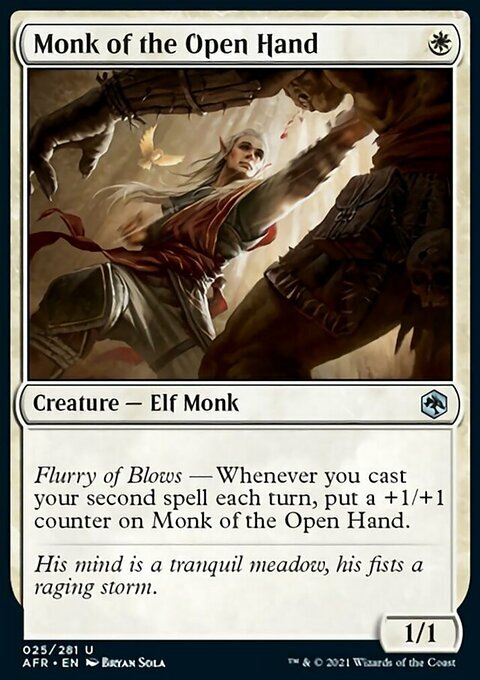 MTG Monk of the Open Hand (25/424) Adventures in the Forgotten