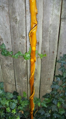 Bastón para caminar morera en espiral tallado a mano 43" con mango superior de cráneo de latón #28 - Imagen 5 de 16