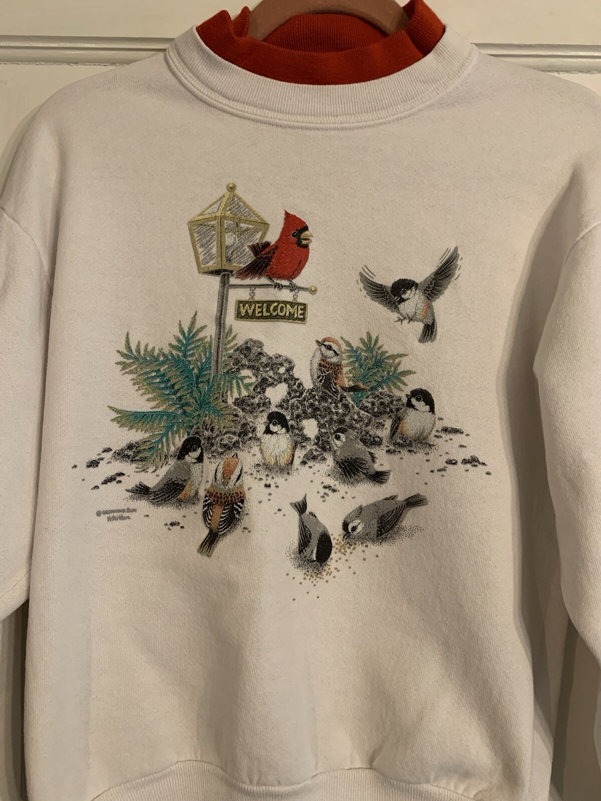 Picture 2 of 12