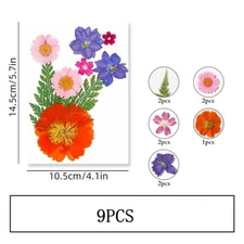 9PCS Real Pressed Dry Flower collection, orange Flower with leaf stem FSS501