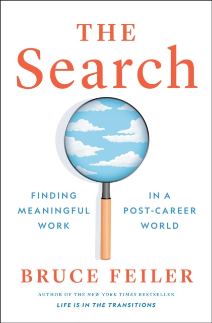 The Search by Bruce Feiler (Hardback Book)