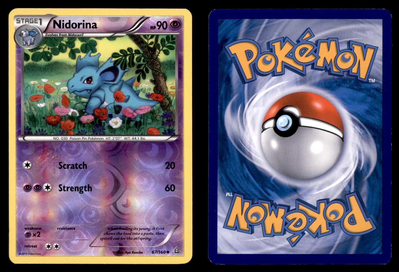 Pokemon Primal Clash Nidorina 67/160 Reverse Holo 2015 Uncommon