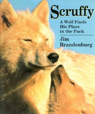 Scruffy : A Wolf Finds His Place in the Pack Hardcover Jim Brande