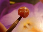 ANCIENT  PYU KUSHAN LINE DECORATED LONGEVITY EYE ROUND AGATE BEAD PERFECT 7.4 MM — photo 5