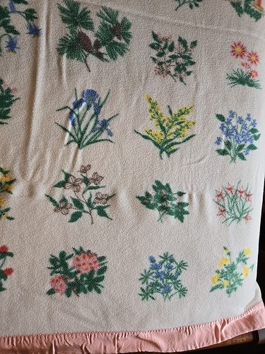 Manta Álbum Flores Estado Amanecer Dorado 71x82 Penney's De Colección Rayón Peluche Satinado En muy buena condición - Imagen 9 de 10