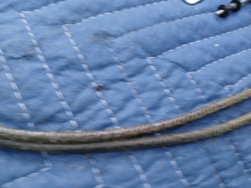 BMW E10 2002 E3 Bavaria E12 Volvo 240 242 244 Golde Sunroof Cable Wires Pair Set - Picture 7 of 14