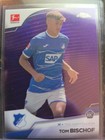 Tom Bischof RC /299 Purple Refractor - Topps Chrome Bundesliga Rookie Hoffenheim