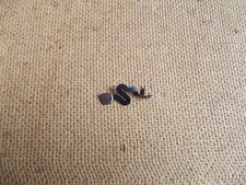 Apple MacbookPro 16" A2141 2019 Lid Angle Sleep Wake Sensor Flex Cable 02617-A