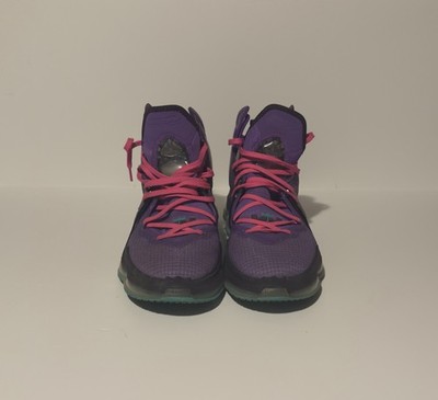 Size 10 - Nike LeBron 19 DJ Bron Wild Berry