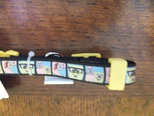 SPONGEBOB dog COLLAR ~ Small, fun dog BEST PUP EVER ~ fun, fun + more fun - Picture 3 of 4