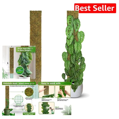 Natural Forest Moss Flat Pole 59'' - Ideal Support for Monstera & Philodendron