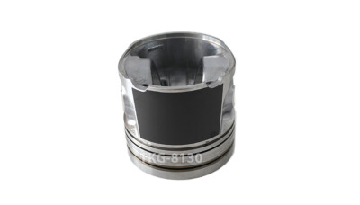 犬田① b5348133b989d48cf8353a04295878