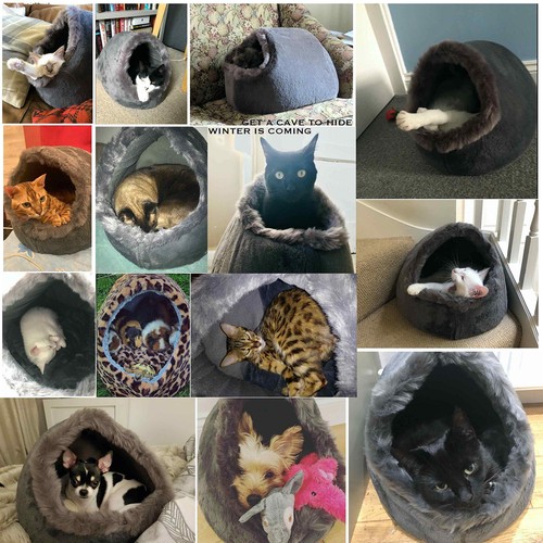 Cat Small Dog Cosy Bed Pets Igloo Bed Hideout Cave, Cushion Washable - Bild 6 von 6