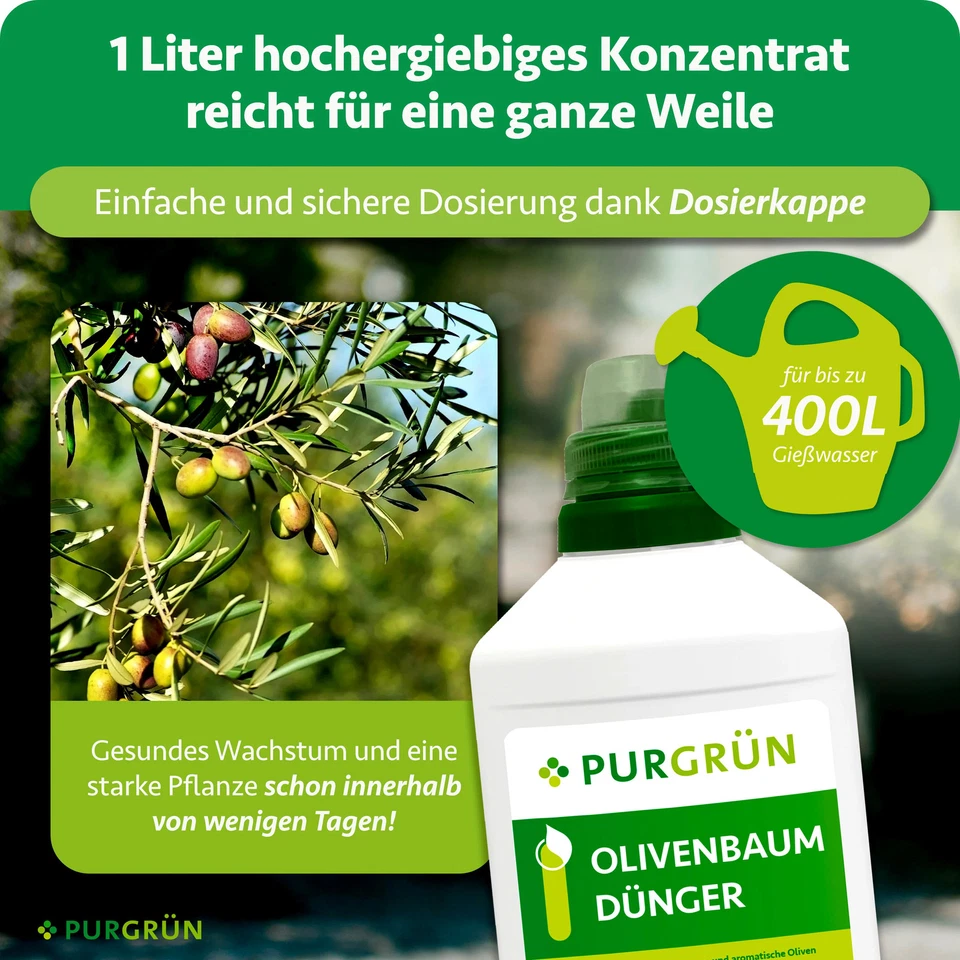 Purgrün Olivenbaum Dünger, NPK 8+8+6, für gesunde Oliven, 1L - Bild 4 von 4