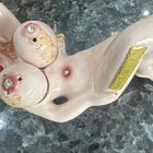Vintage Naughty Naked Lady Boobs Breasts Salt Pepper Shakers Japan Full Body — photo 3