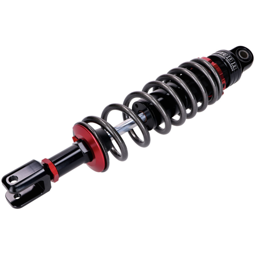 N Ninja ZX-4RR 40th Anniversary Edition Performance - 2024