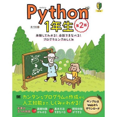 Python First Grade 2nd Edition Learning Program for Ages 14+