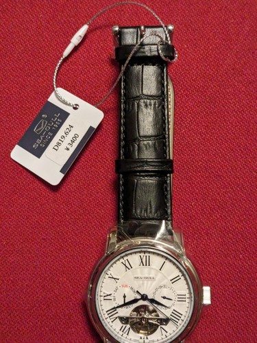 Reloj de Negocios 42MM Seagull Automático Mecánico Multifunción Volante Hueco - Imagen 3 de 5