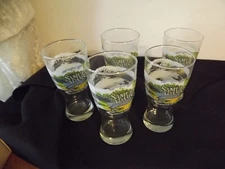 5 new SAMUAL ADAMS beer glasses ALPINE SPRING created for the season  16 OZ.