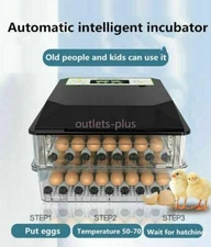 Household Chicken Duck Goose and Egg Incubator Fully Automatic Dual Power Suppl