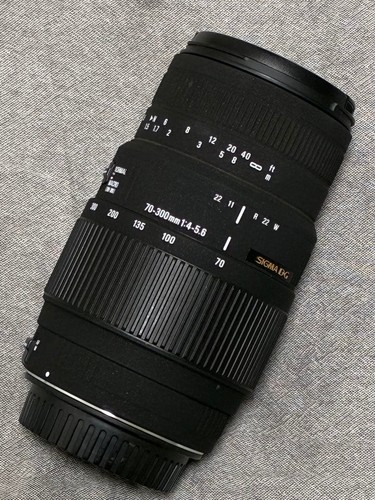 Sigma 70-300mm DG MACRO for Canon 825982