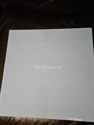 Wedgewood Gio Platinum Ovale Platte UVP 175£