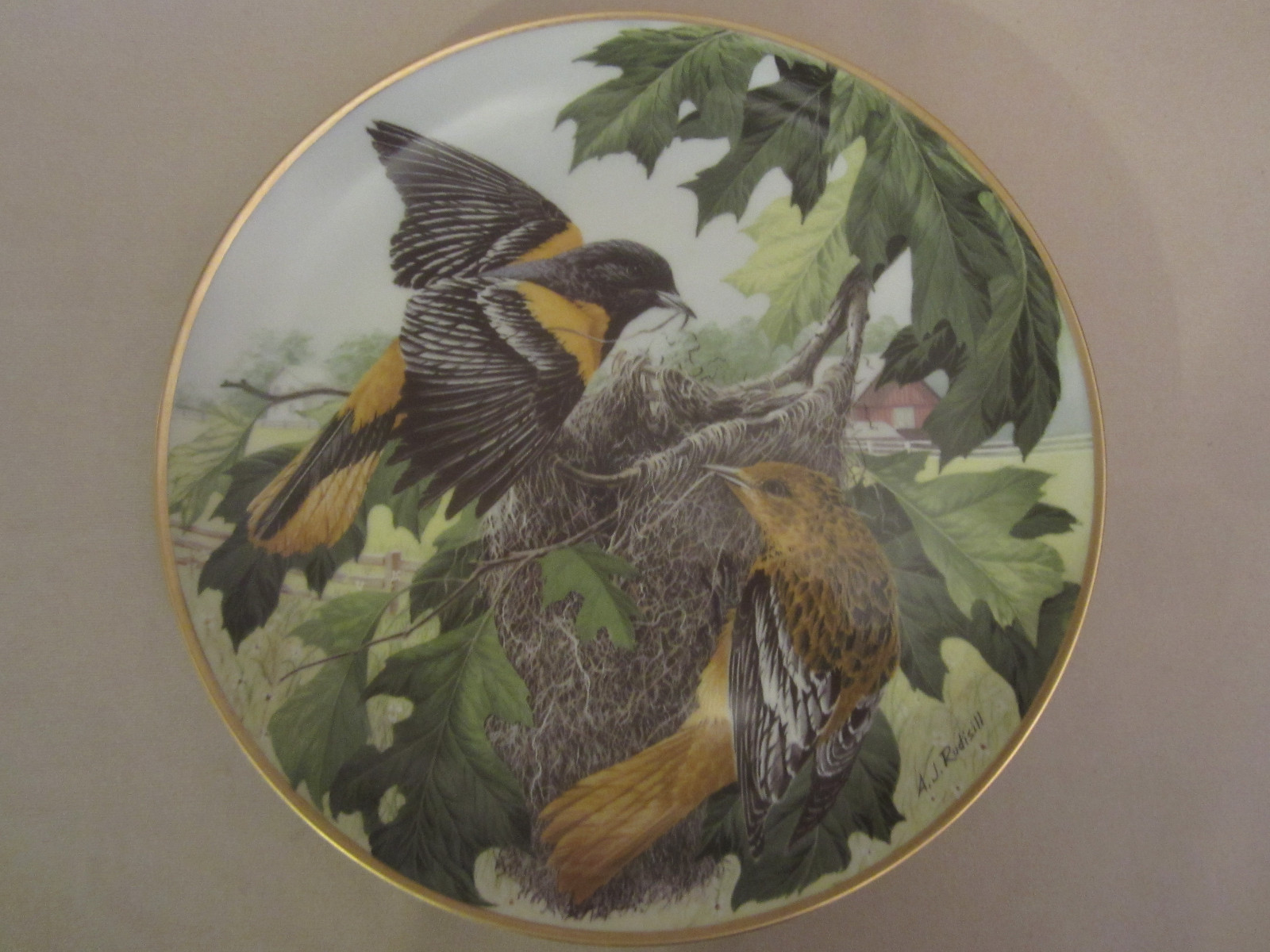 ORIOLE 
