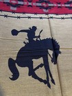 Luxury Western Southwest bronco Style King size bedspread 114”X 96” horse rodeo — photo 4