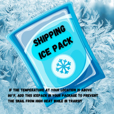 Shipping ICE PACK for Snails Orders Add on Only  Snaily Snail
