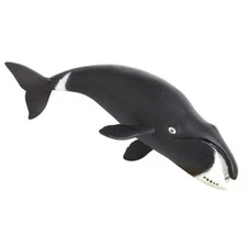 BOWHEAD WHALE Animal Figurine Safari Ltd. toy Sea Life Collection