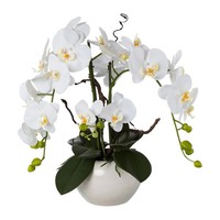 Kunstpflanze Phalaenopsis 'Real Touch', Weiß, HöHe Ca. 55 Cm