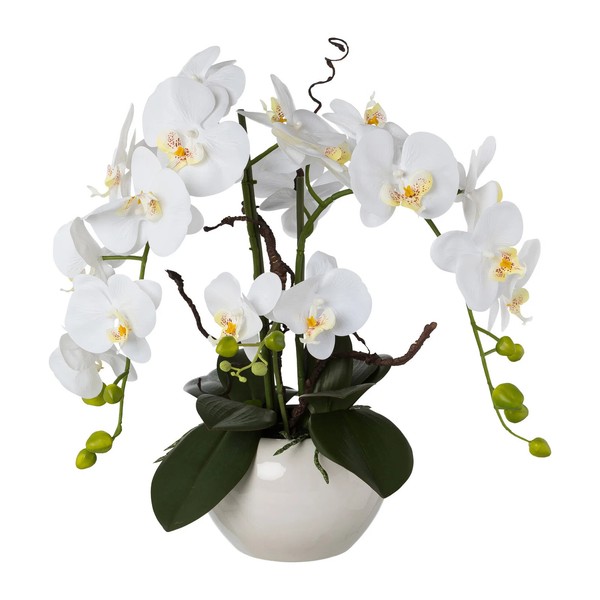 Kunstpflanze Phalaenopsis 'Real Touch', Weiß, HöHe Ca. 55 Cm-image