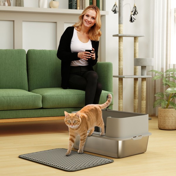 PawHut Katzentoilette Edelstahl Offene Katzenklo Mit Schaufel Hohem Rand Matte-image