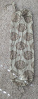 Pottery Barn Peacock Flamingo Floral Bolster Pillow Cover ~ 8" x 30" Multi BOHO — photo 4