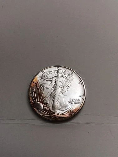 1991 American Silver Eagle 1 Troy oz Coin .999 Fine Silver Tarnished Authentic