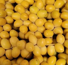 7 LB YELLOW BARHI DATES - Sweet, Whole Organic Fruit ☀️FRESH FROM FLORIDA - NEW