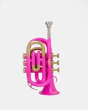 QueenBrass Pocket Trumpet Bb Pink Brass Gold Trim with Case Mouthpiece