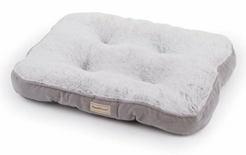 pooch planet dog bed