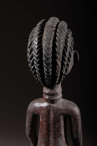 Colon Agni 2564 - Photo 9 sur 13