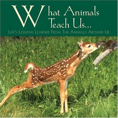 What Animals Teach Us: Life's Lessons Learned From the Buch Willow Creek Pr