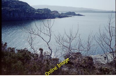 Photo 12x8 Glenmore Bay Glenborrodale An offshoot of Loch Sunart. c1987