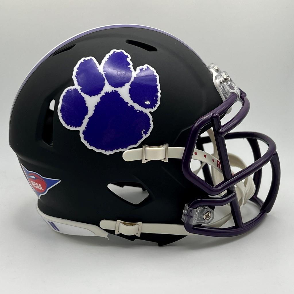 drippiest football helmets SLEEFS Drip Facemask for Riddell SpeedFlex Bicycle helmet 3d model Elevate Your Helmet Style avis_em19 Option:Holo Akakin