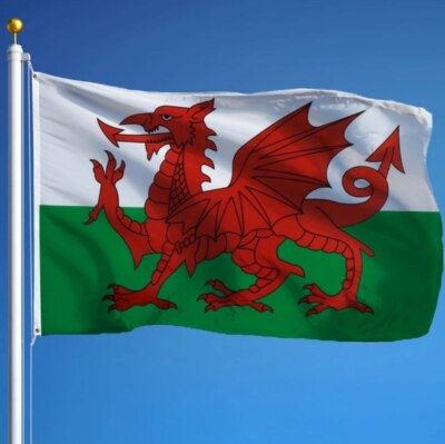 Wales Flagge 150x90cm Walisische Fahne Hissflagge mit 2 Ösen Drache Fanart