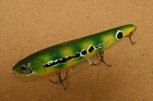 Evergreen   Amazon Pencil                (L924MY3