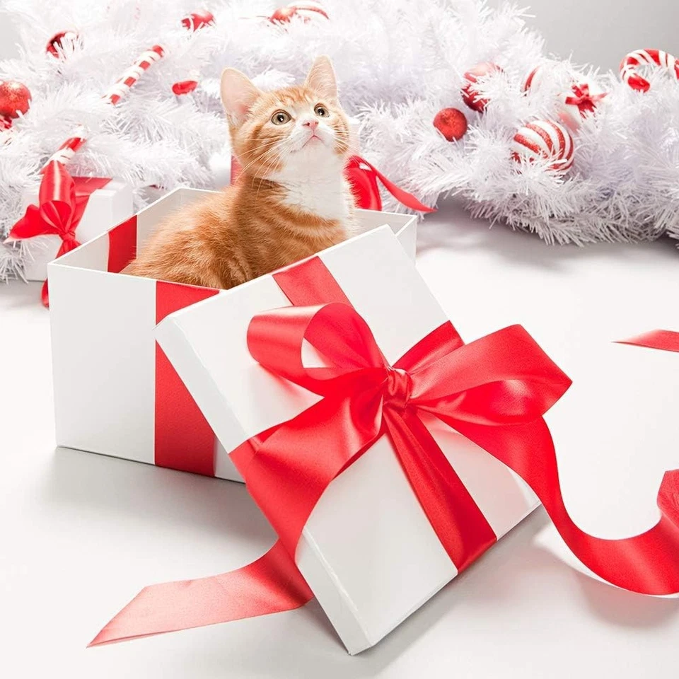 Vibrante cinta de satén de doble cara de 2" X 25 yardas - Ideal para manualidades y decoraciones Foto 4 de 4