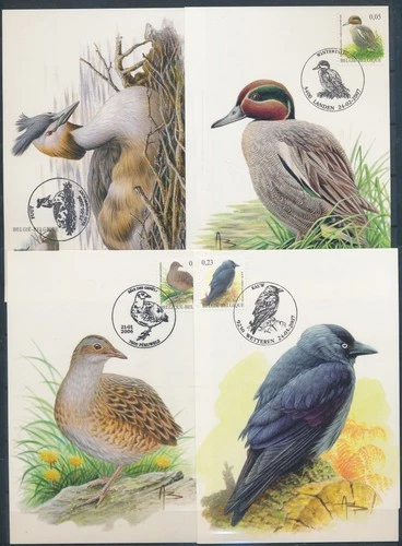 XE60239 Belgium 2006 -2007 ducks animals birds maxicards used