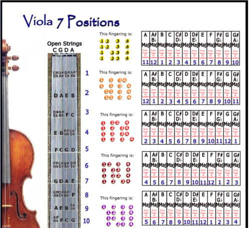 Viola 7 Mano Posizioni Piccolo il Grafico - Improvise IN Qualsiasi Chiave - Picture 1 of 3