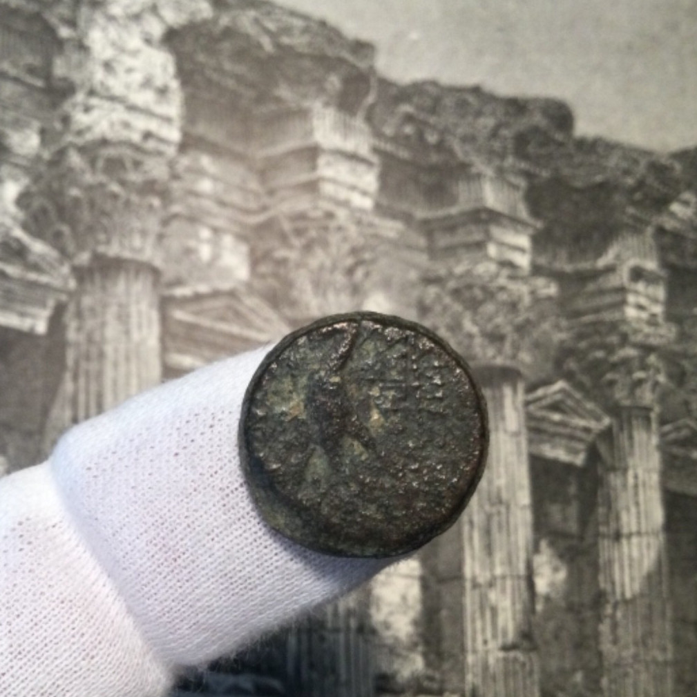 Seleucid Kingdom (struck 121-96BC) Antiochus VIII - AE16 [BMC 25-28] SHIPS FREE!