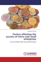 Haimanot Guadie | Factors Affecting The Success Of Micro And Small Enterprises
