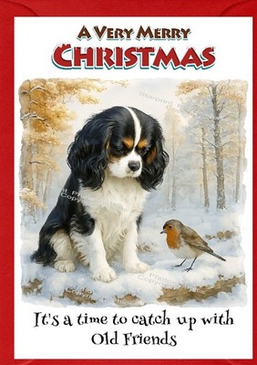 Cavalier King Charles Spaniel (Tri) Hund (4''x 6'') Weihnachtskarte (innen leer)